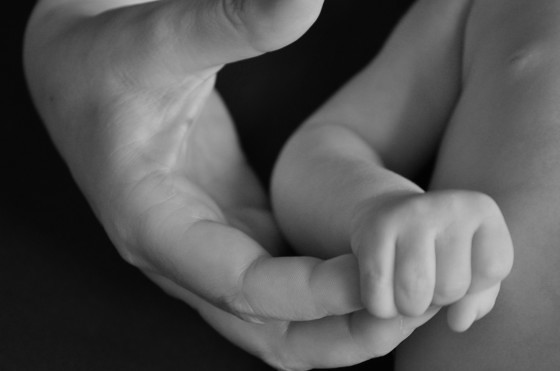 Dem Anfang auf der Spur / DGS / Daniela Hasenzagl